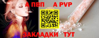 кокс Кингисепп