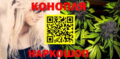 сатива Кинель