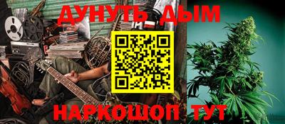 кокс Кингисепп