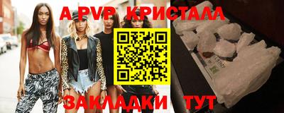 кокс Кингисепп