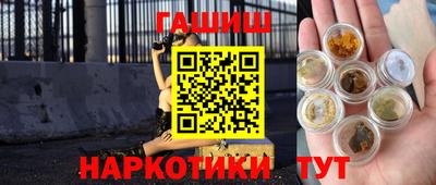 кокс Кингисепп
